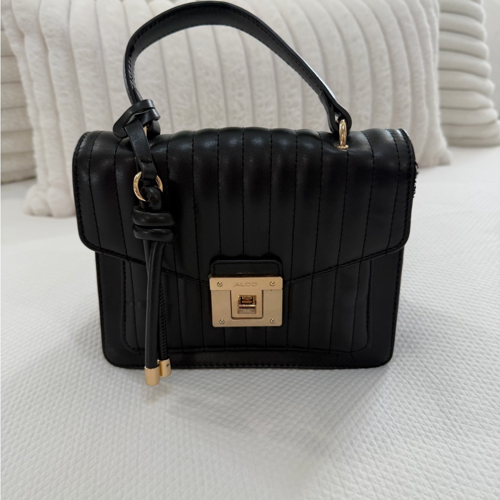 Aldo Black Mini Bag with Gold Accents